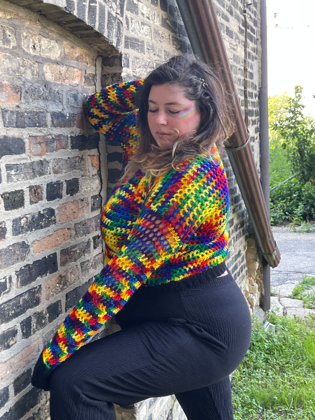 Rainbow Dragonfly Sweater