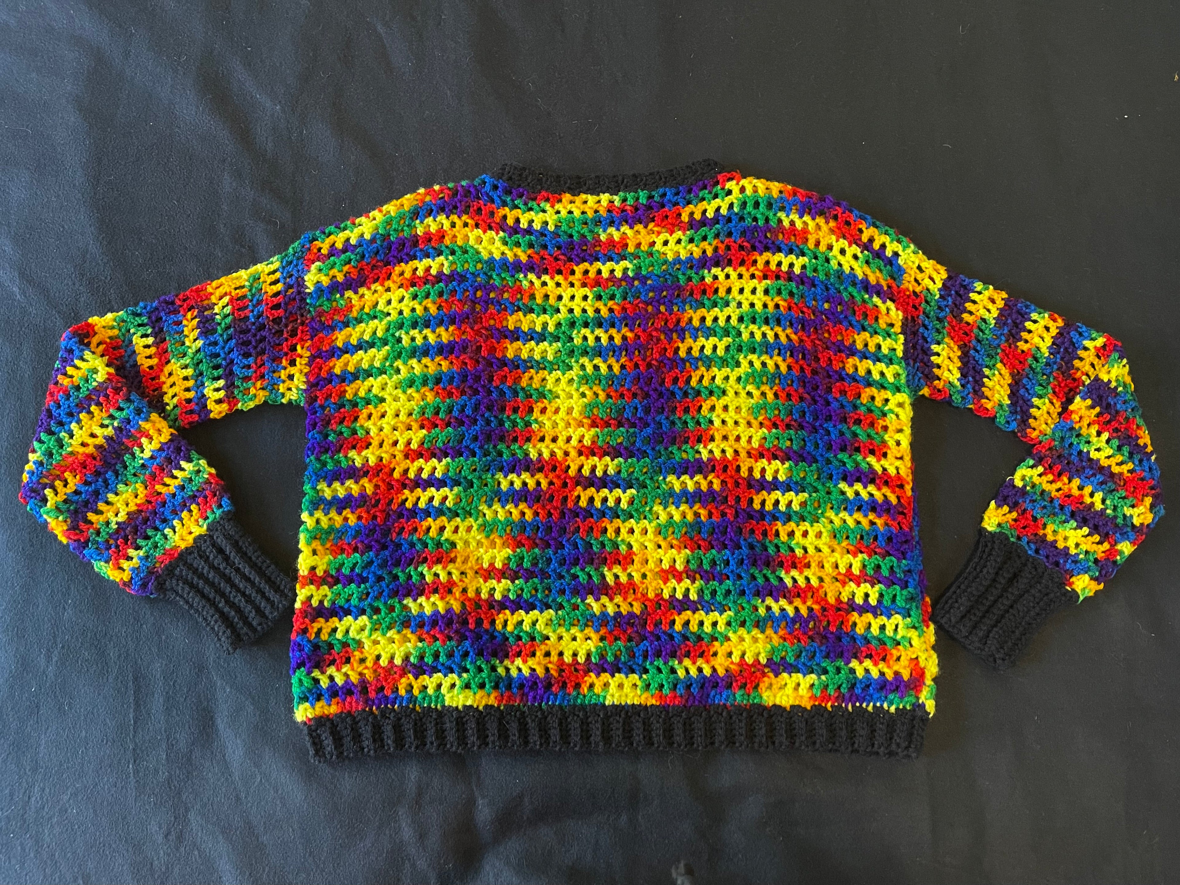Rainbow Dragonfly Sweater